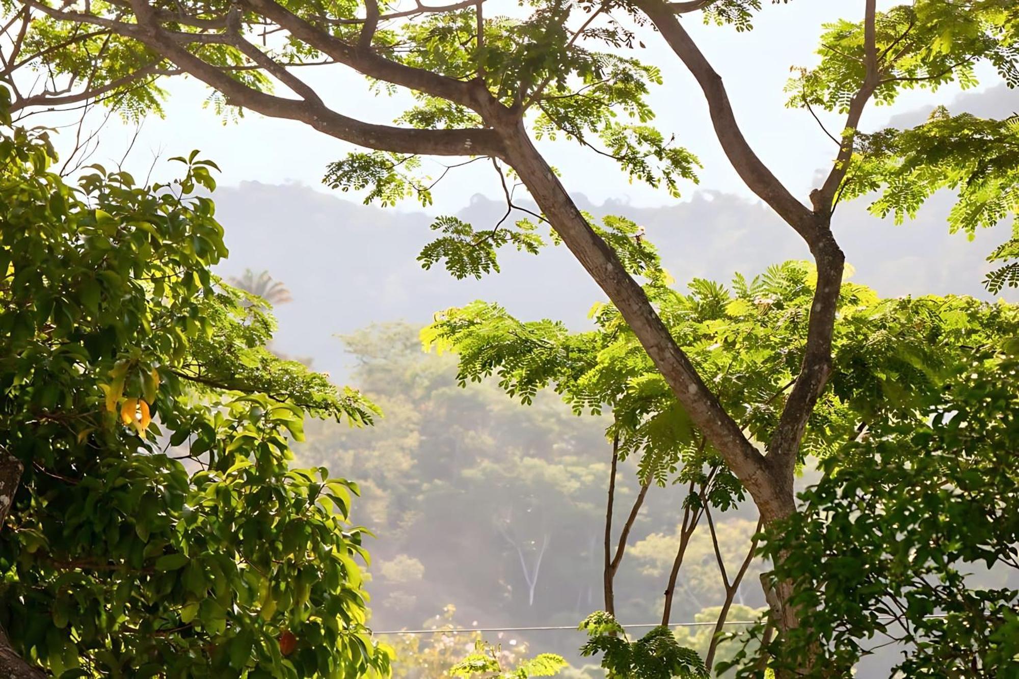 Modern 2Br Condo - Minutes From Jaco Beach - Prime Location Exterior photo